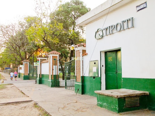 tipoi
