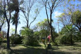 parque natural montaña