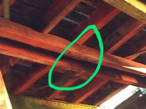 WhatsApp Image 2020-11-24 at 09.04.15