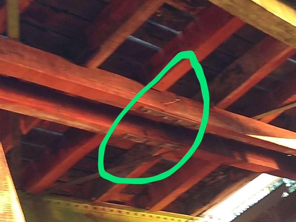 WhatsApp Image 2020-11-24 at 09.04.15