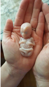 Screenshot_2020-12-11-10-47-08~2