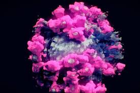 coronavirus22