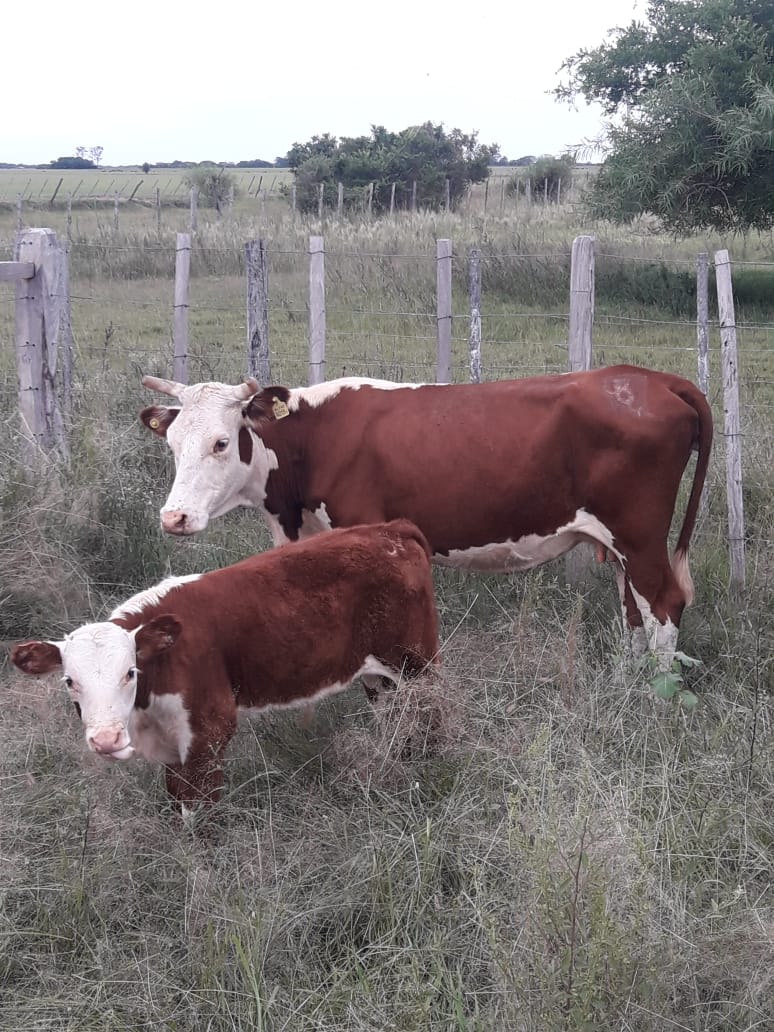 PRIAR CONCEPCION 10-2-21 F1