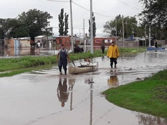 temporal-venado-tuertojpeg