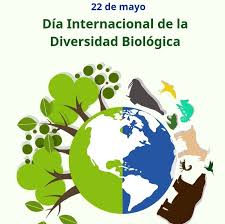 descarga (9)