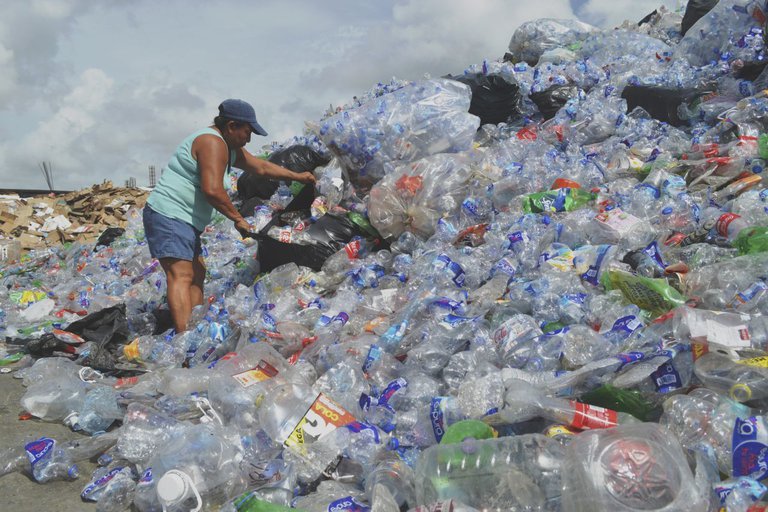 reciclar botella