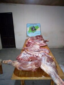 PRIAR CARNO NO APTA (1)