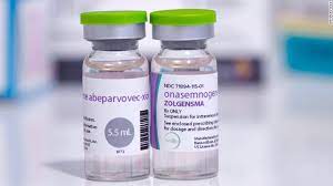 medicamento