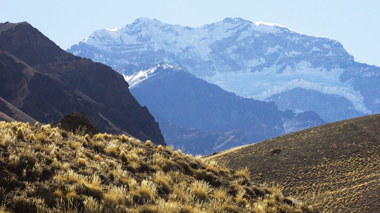 mendoza