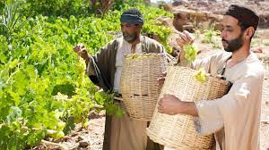 servidor