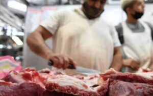 carnes suba