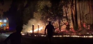incendiofores