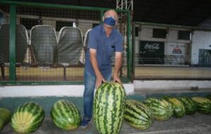 sra Sandia