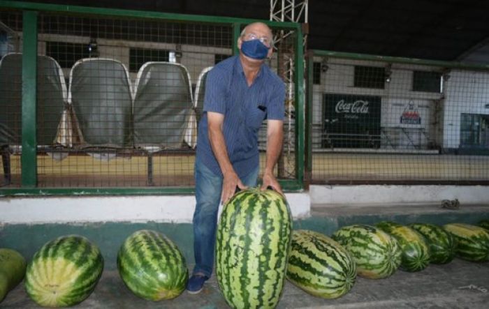 sra Sandia
