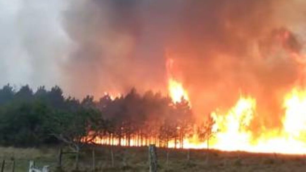 corrientes-incendiosjpg