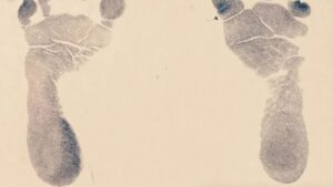 f608x342-704043_733766_142