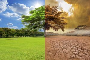 cambio-climatico-causas-consecuencias-2