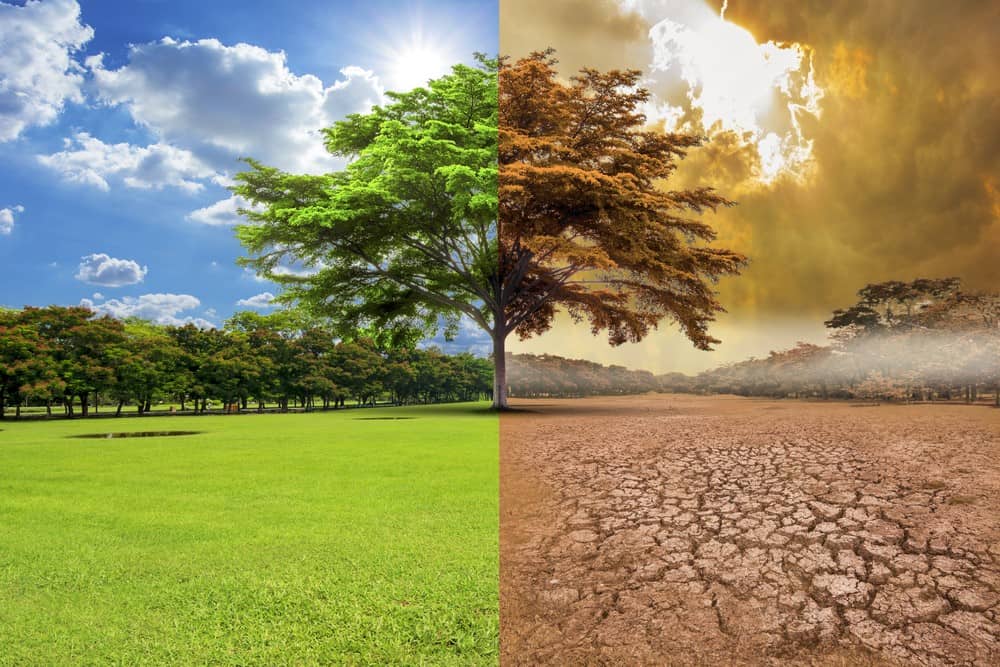 cambio-climatico-causas-consecuencias-2