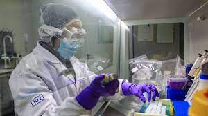 virus de wagan