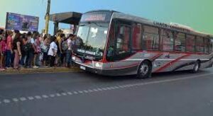 colectivos