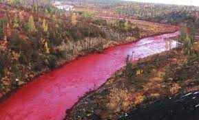 rio rojo de egipto