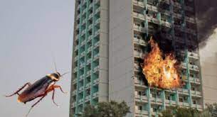 QUIO MATAR CUCA Y HIZO VOLAR SU DPTO