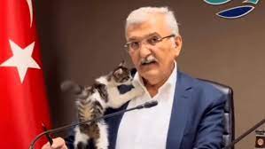 alcalde turco con 1 gato