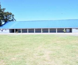 335841.jpg_crop_square