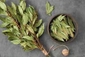 images - 2025-10-12T172508.284