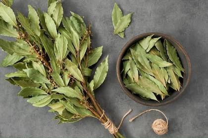 images - 2025-10-12T172508.284