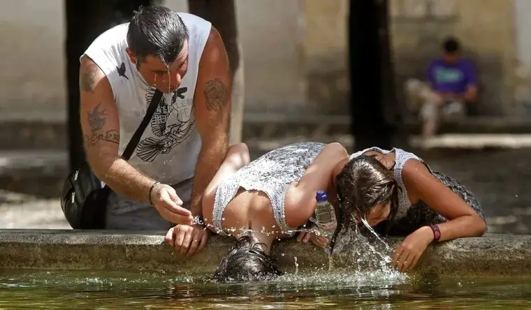 CALORFRANCES