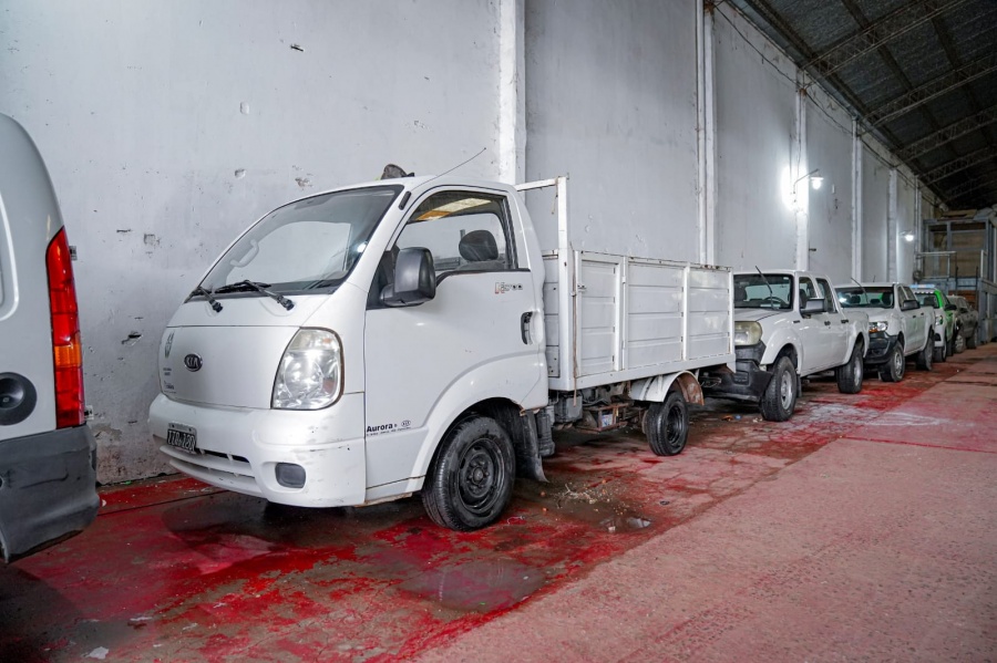 camionetamuni
