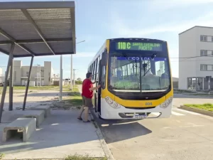 colectivoamarillo