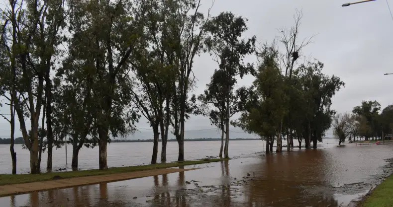LLUVIAS