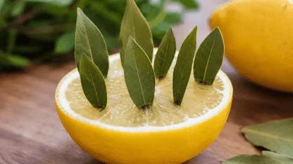 limon_416x234